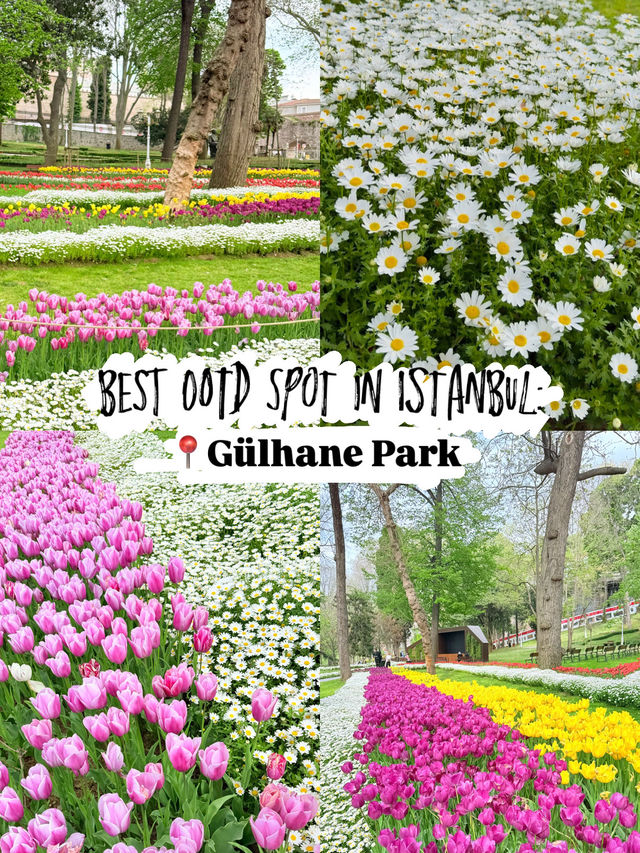 Best OOTD Spot in Istanbul: Gülhane Park