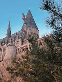 Harry Potter World: Making Magic with Kids at Universal Studios Beijing