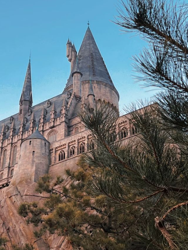 Harry Potter World: Making Magic with Kids at Universal Studios Beijing