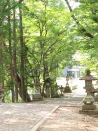 【癒しの観光スポット】岐阜県高山市 日枝神社