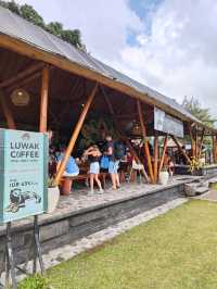  A Quick Bite with a View: Fusion Café at Beratan Lake