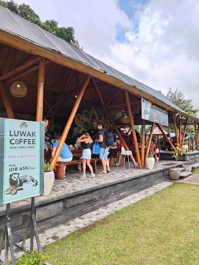  A Quick Bite with a View: Fusion Café at Beratan Lake