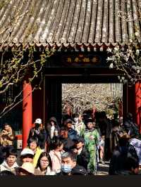 Summer Palace: Where Marble Boats Sink Navy Budgets And Arches Bridge The Dead To Unpaid Labor