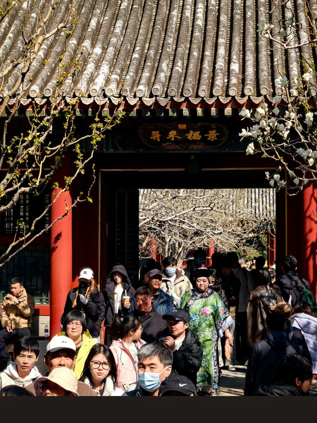 Summer Palace: Where Marble Boats Sink Navy Budgets And Arches Bridge The Dead To Unpaid Labor