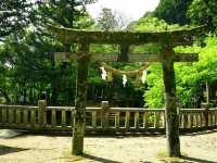 【山口】弁財天のご利益を授かれる「別府弁天池」