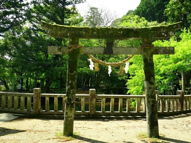 【山口】弁財天のご利益を授かれる「別府弁天池」