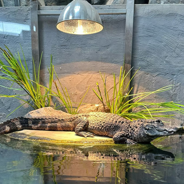Taipei Zoo with Kids and Grandparents: How We Explored Comfortably