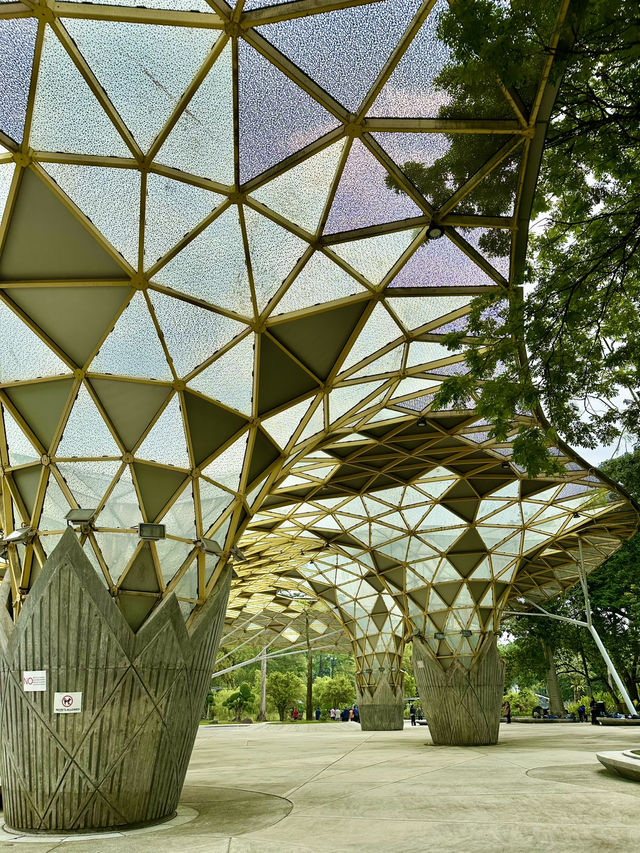 Your Morning Muse in KL: Nature, Calm, and Clarity