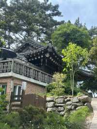 사계절 꽃향기 머무는 서해안 오아시스 🌳🤍💙