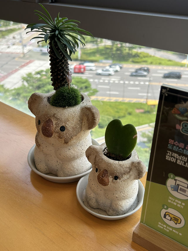 맛있는 샤브샤브와 샐러드바, 카페까지 한곳에서🤍