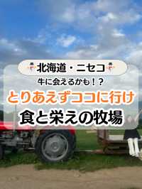 【北海道ニセコ】食と映え牧場