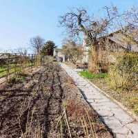 Beatrix Potter's