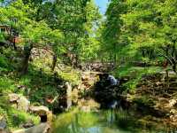 韓國大邱 清道柿子酒隧道 桐華寺