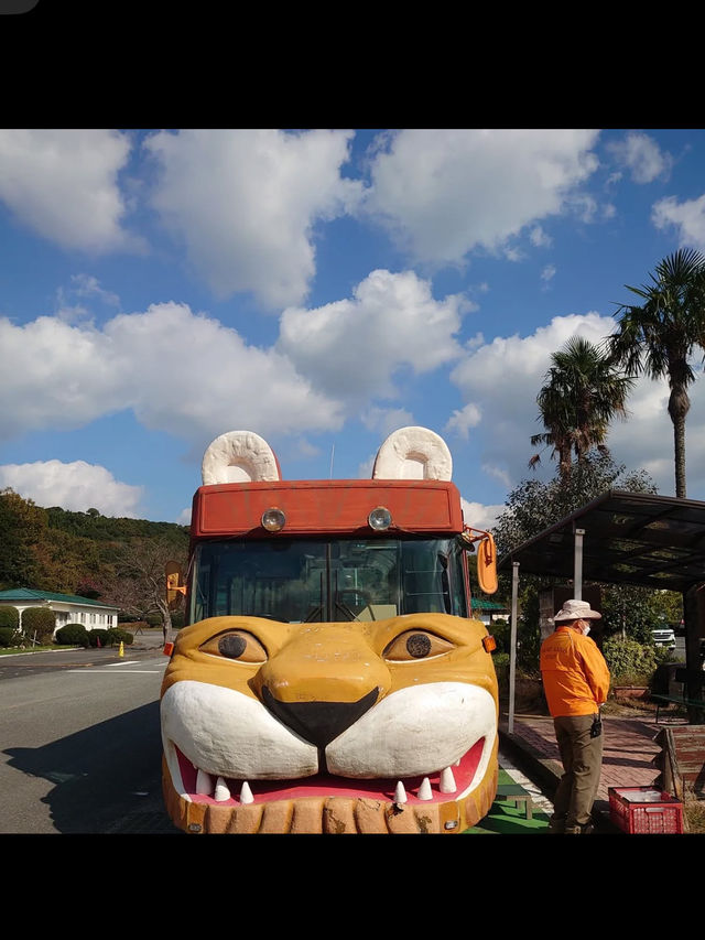 🦁秋吉台サファリランド｜動物たちと超接近！ドキドキのサファリ体験