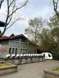 “Panda Paradise: Chengdu’s Living Conservation Garden”