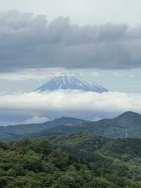 靜岡🇯🇵｜你的名字取景地｜抹茶布甸 