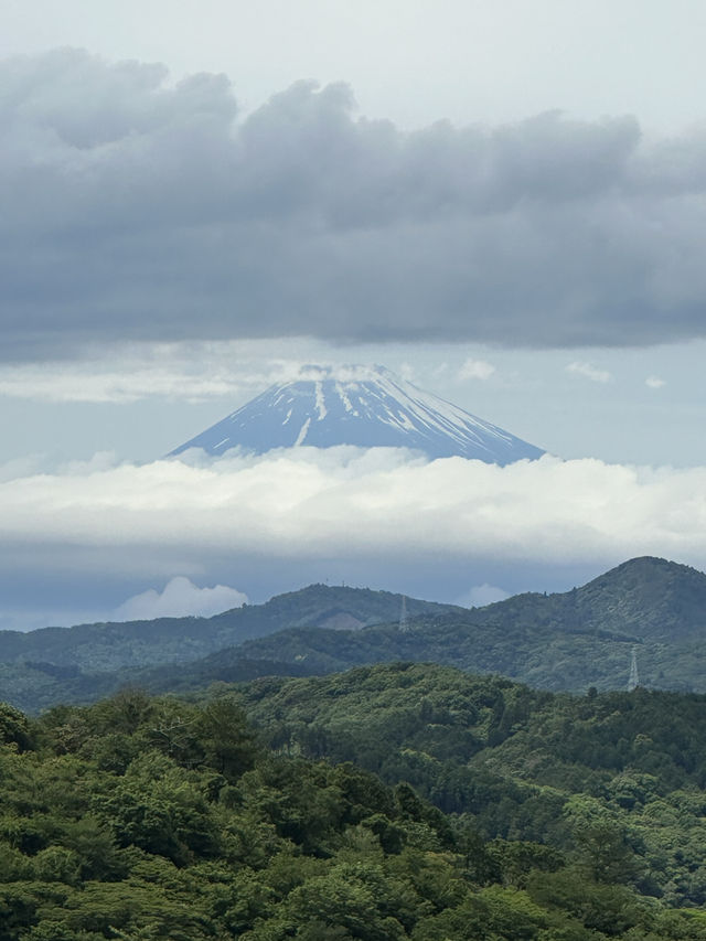 靜岡🇯🇵｜你的名字取景地｜抹茶布甸 