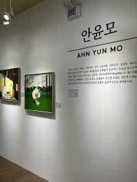 괴산에 생긴 신상 전시!