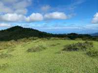 Wandering Through the Grassy Beauty of North Wuzhishan
