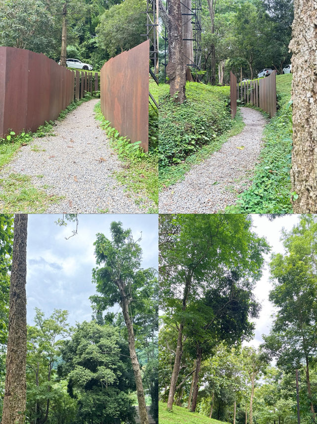 ค่าเฟ่ดังในเชียงใหม่ ฟิลเหมือนอยู่ต่างประเทศ