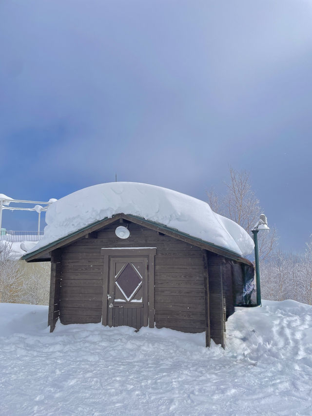 🎿 지금부터 준비해야 할, 겨울 토마무 여행❄️