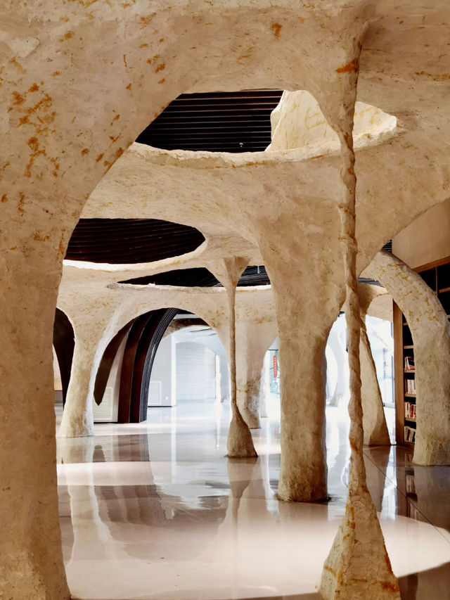 📚 Geometric Bookstore – Xining China