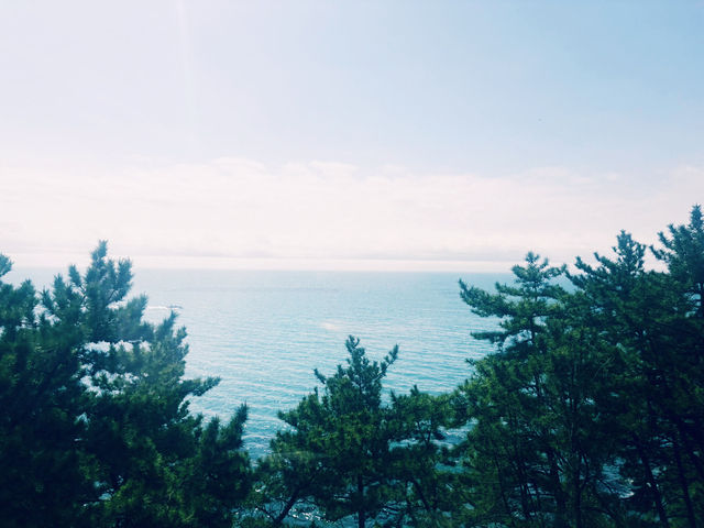 釜山旅✈️海雲台ブルーラインパーク 釜山旅✈️海雲台ブルーラインパーク