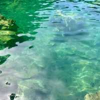 코론 최고의 뷰, 세상에서 가장 맑은 호수 Kayangan Lake에서의 힐링