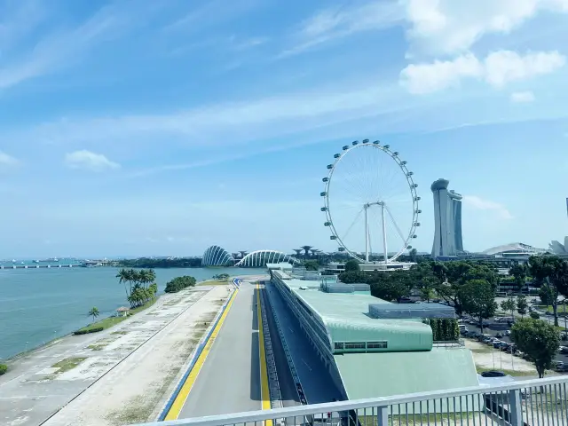 Singapore City Tour: A Charming Journey Where Modernity Meets History