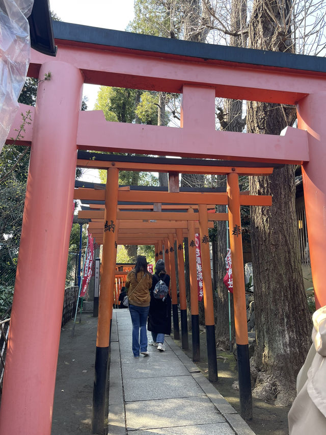 Ueno park🌸 Ueno park🌸