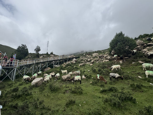 祁連山冰河溝