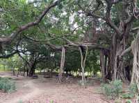 衛武營國家藝術文化中心