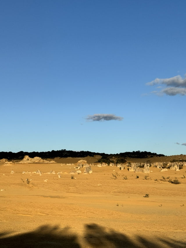 Pinnacles Desert- Out of this world view