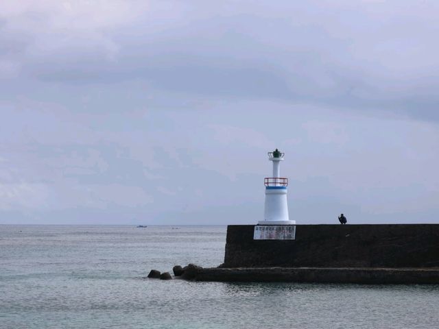 沙灘不僅廣闊，視野更是遼闊無比，遠望太平洋與巴士海峽的交會處，海天一線的畫面讓人忍不住駐足凝望。