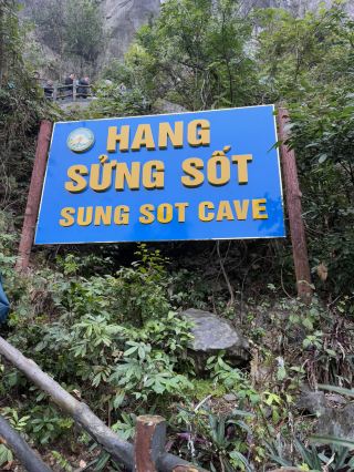 越南🇻🇳Sung Sot Cave，下龍灣，河內