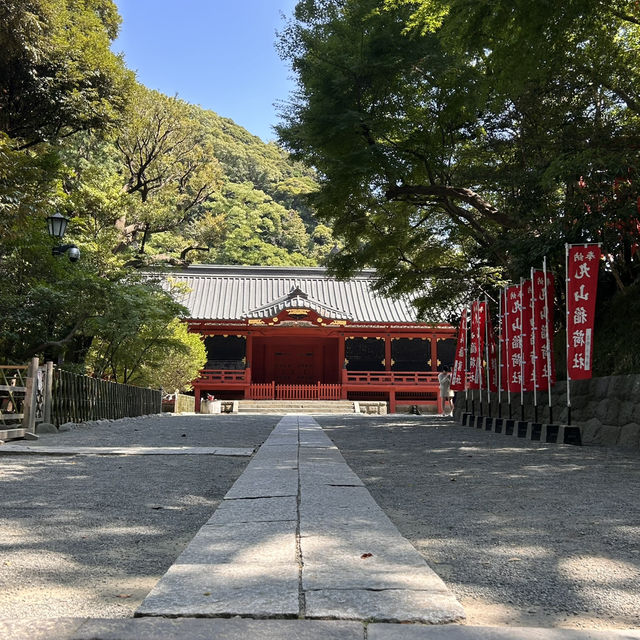 The Soul of Kamakura: A Solo Visit to Tsurugaoka Hachimangu Shrine ⛩️