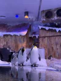 🌊✨ VinWonders Phu Quoc – โซน Aquarium