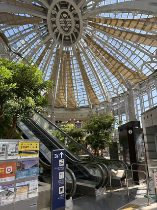 ✈️ Kansai Airport Terminal 1 Duty Free Shop & Relaxation Spot