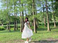 🌳【上海隱藏的“綠野仙蹤”!共青森林公園:城市中心的天然氧吧,隨手一拍就是森林大片!】🌳