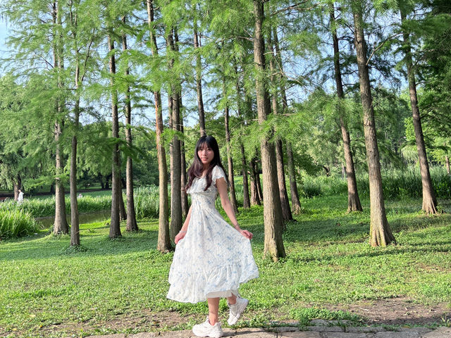 🌳【上海隱藏的“綠野仙蹤”!共青森林公園:城市中心的天然氧吧,隨手一拍就是森林大片!】🌳  🌳【上海隱藏的“綠野仙蹤”!共青森林公園:城市中心的天然氧吧,隨手一拍就是森林大片!】🌳
