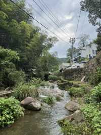 Trekking in beautiful Moganshan mountain 莫干山