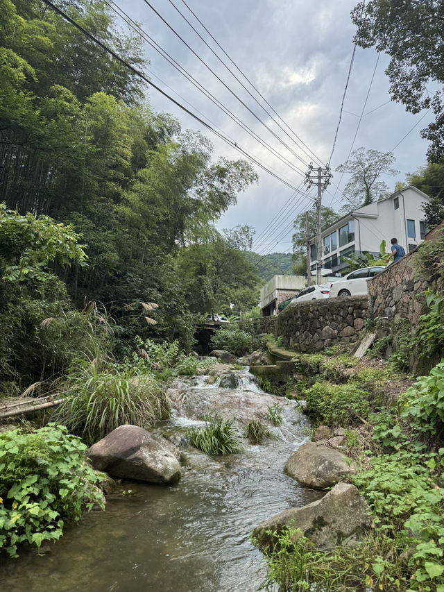 Trekking in beautiful Moganshan mountain 莫干山