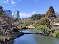 Shinjuku Gyoen National Garden