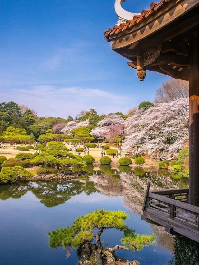 Shinjuku Gyoen National Garden