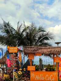 คาเฟ่เป็ดน่ารักๆ More than beach cafe Cha am