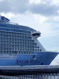 海洋光譜號🚢六日五夜超詳細攻略