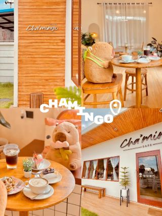 A cafe with a stunning atmosphere in Hat Yai, Thailand 🇹🇭😻