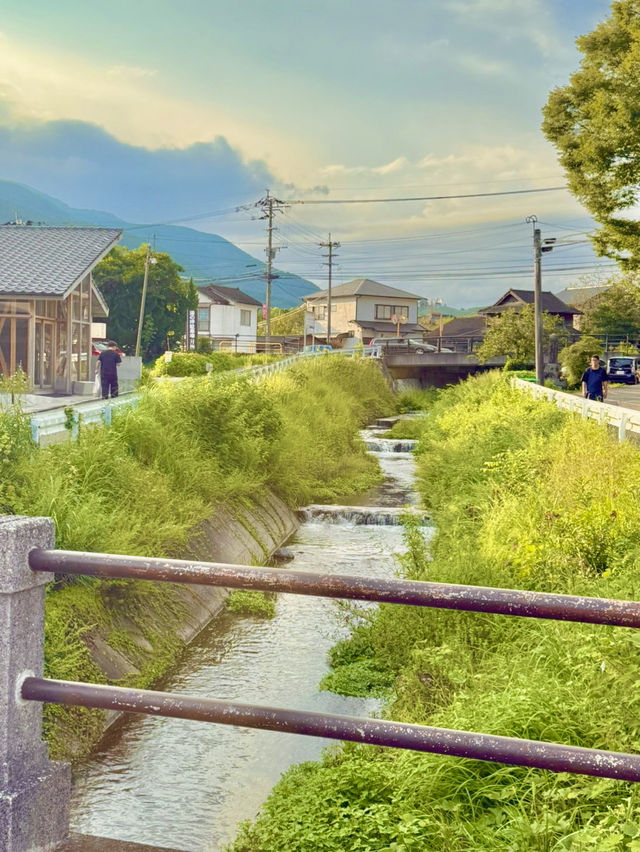 🌿 유후인 골목골목 산책의 매력 🚶‍♀️✨