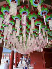 慶州｜金豬傳說佛國寺 快來找藏在牌匾後帶來財運的小豬