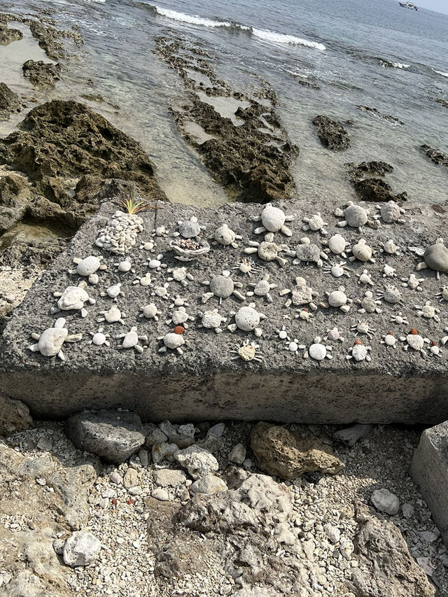 小琉球一日半島計畫｜珊瑚島的藍色軌跡、海蝕巨石與輕鬆吃住攻略🪨🍽️